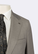 Grey Suit