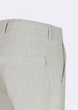 Light Grey Chino & Casual Pant