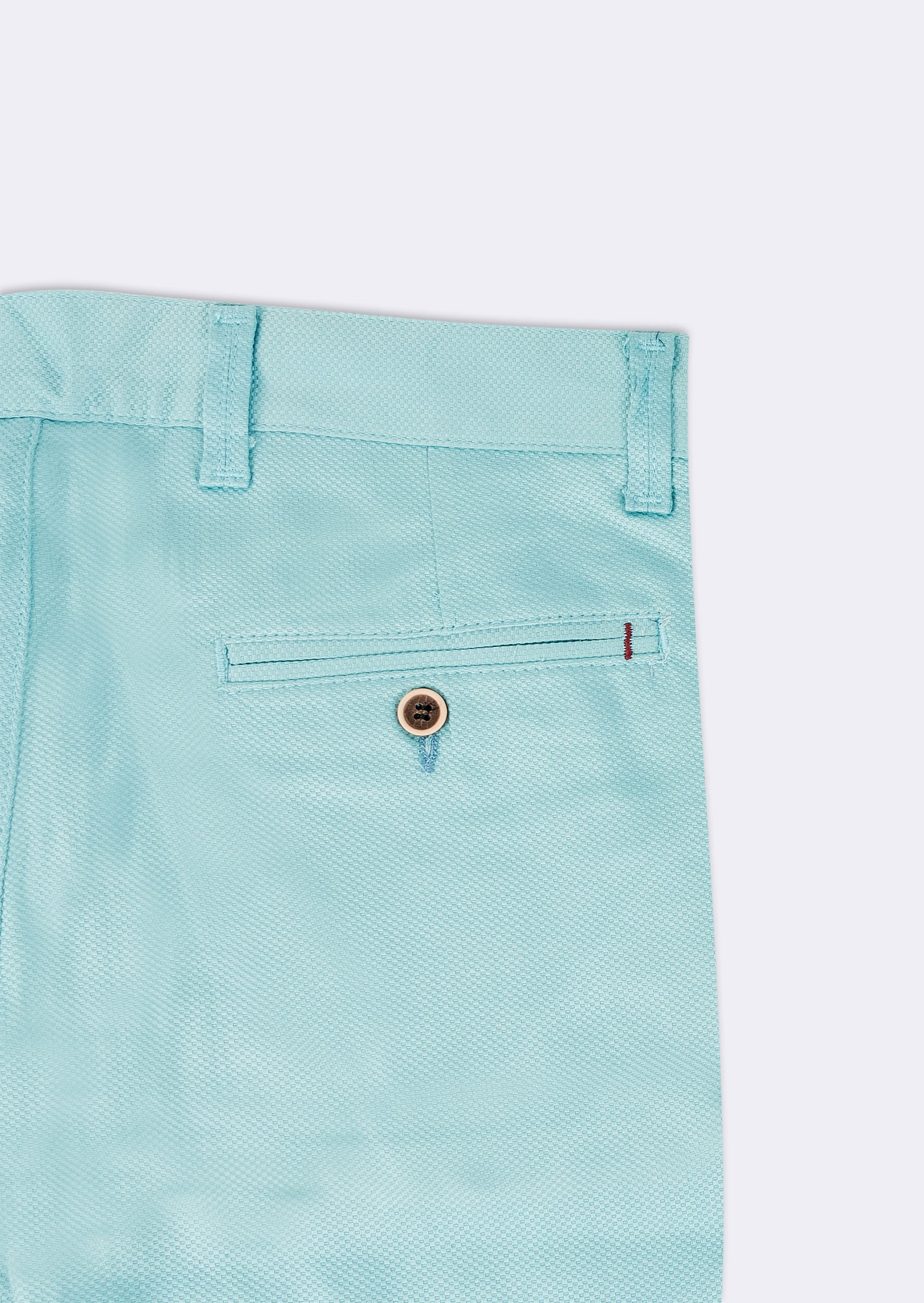 Turquoise Chino & Casual Pant
