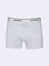 Grey Boxer