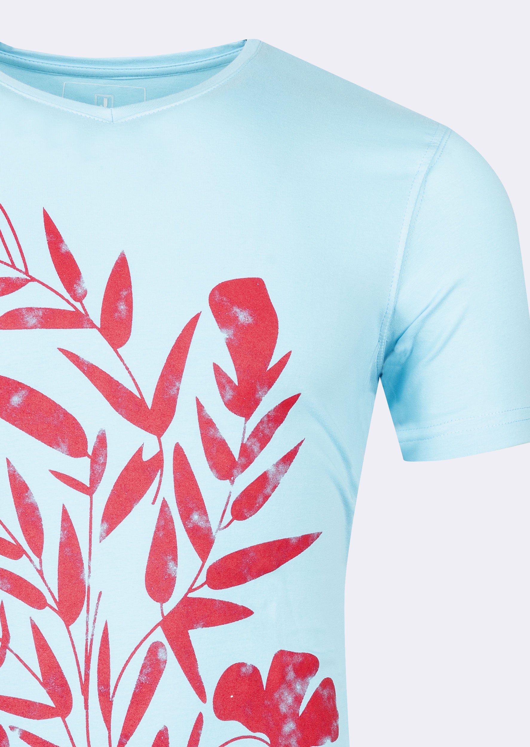 Light Blue V-Neck T-shirt