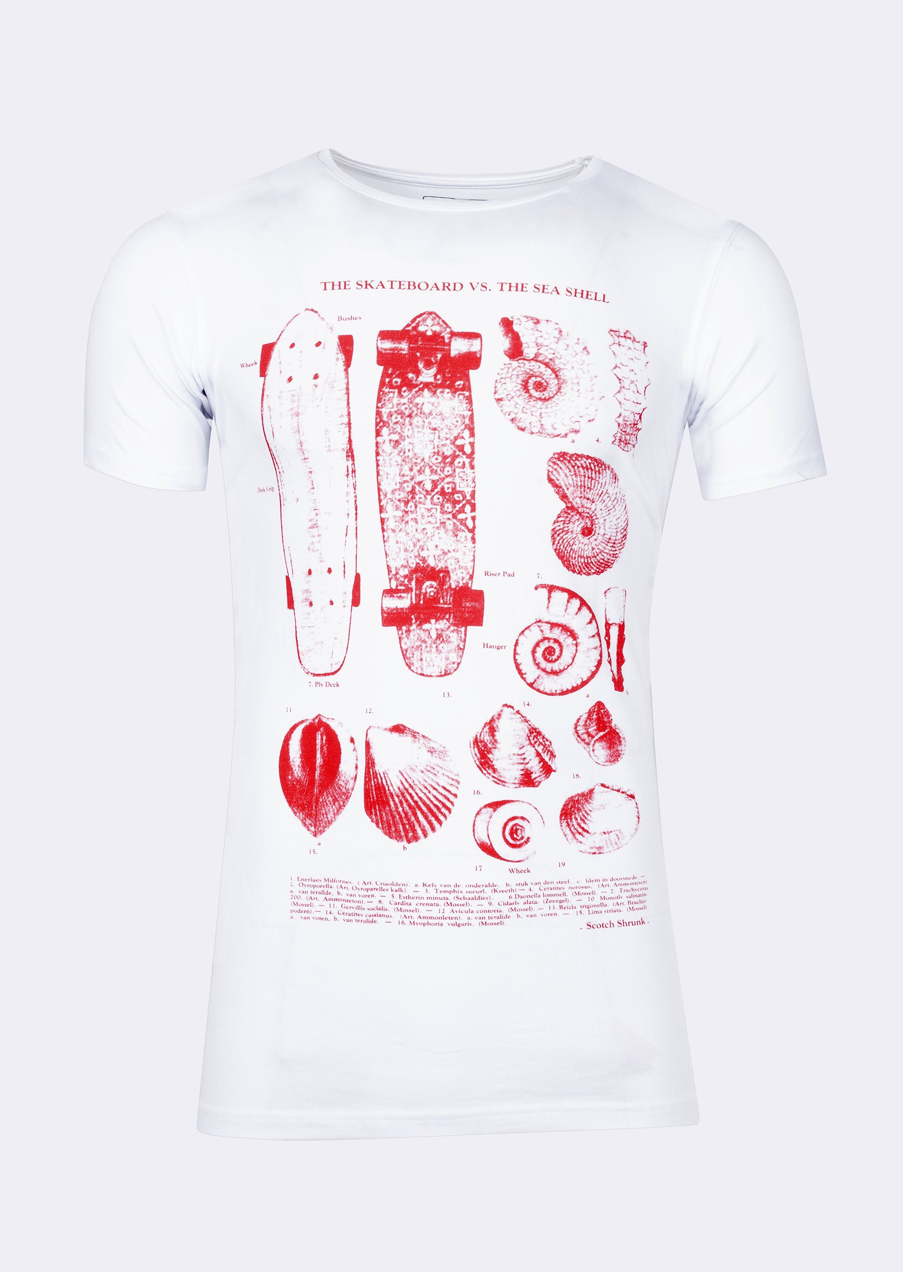 White Crew Neck T-shirt