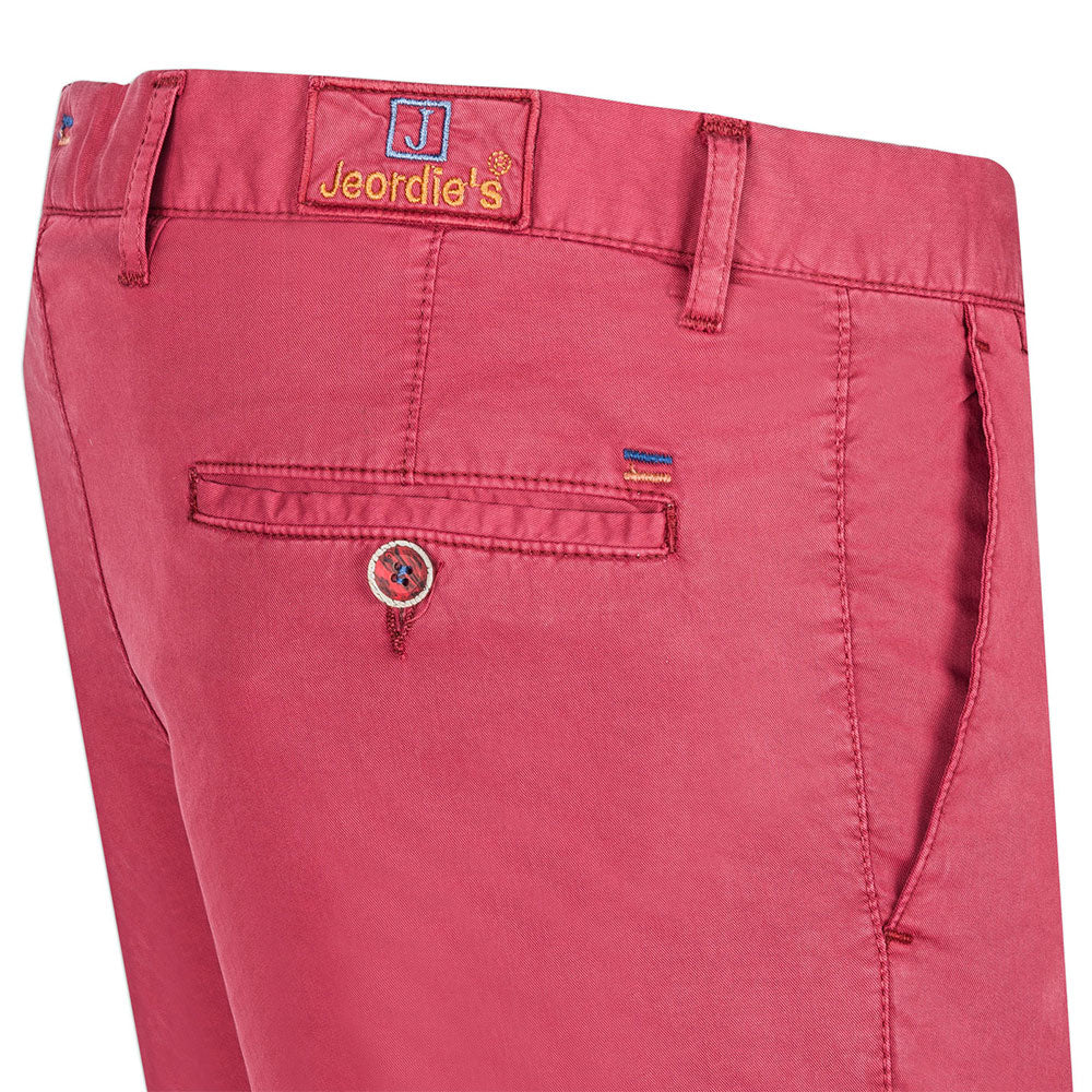Burgundy Chino & Casual Pant