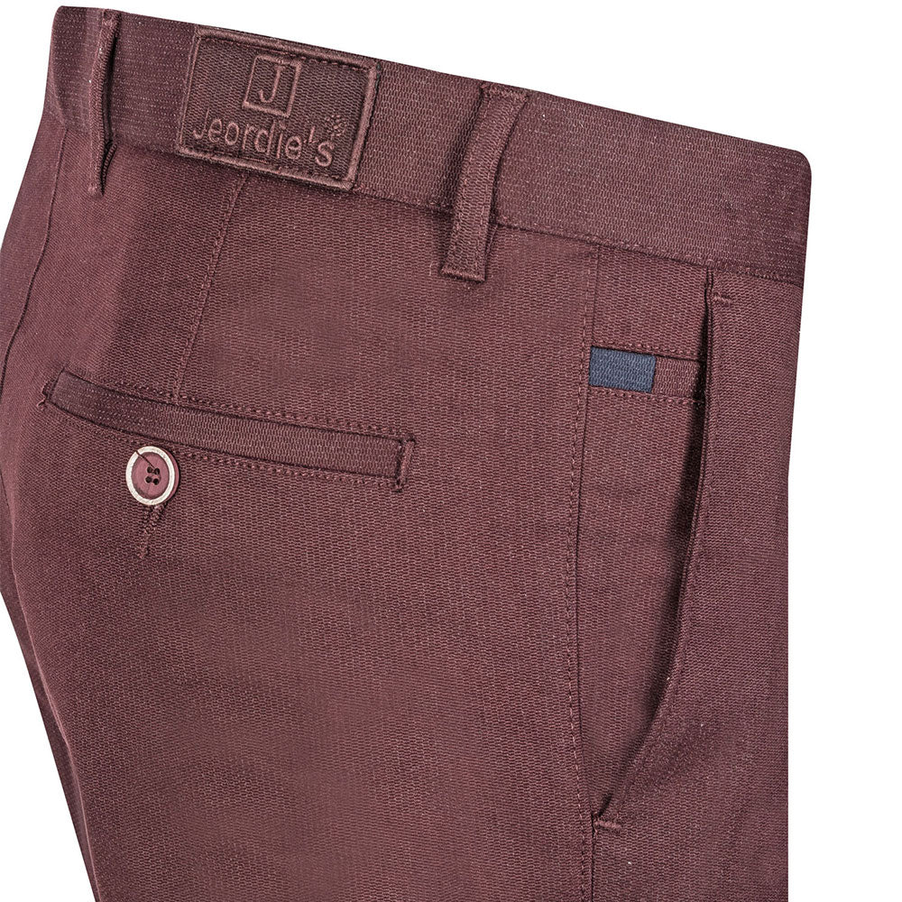 Burgundy Chino & Casual Pant