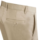Beige Chino & Casual Pant