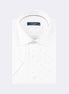 White - Brown Short Sleeve Shirt