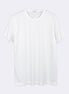 White Crew Neck T-shirt