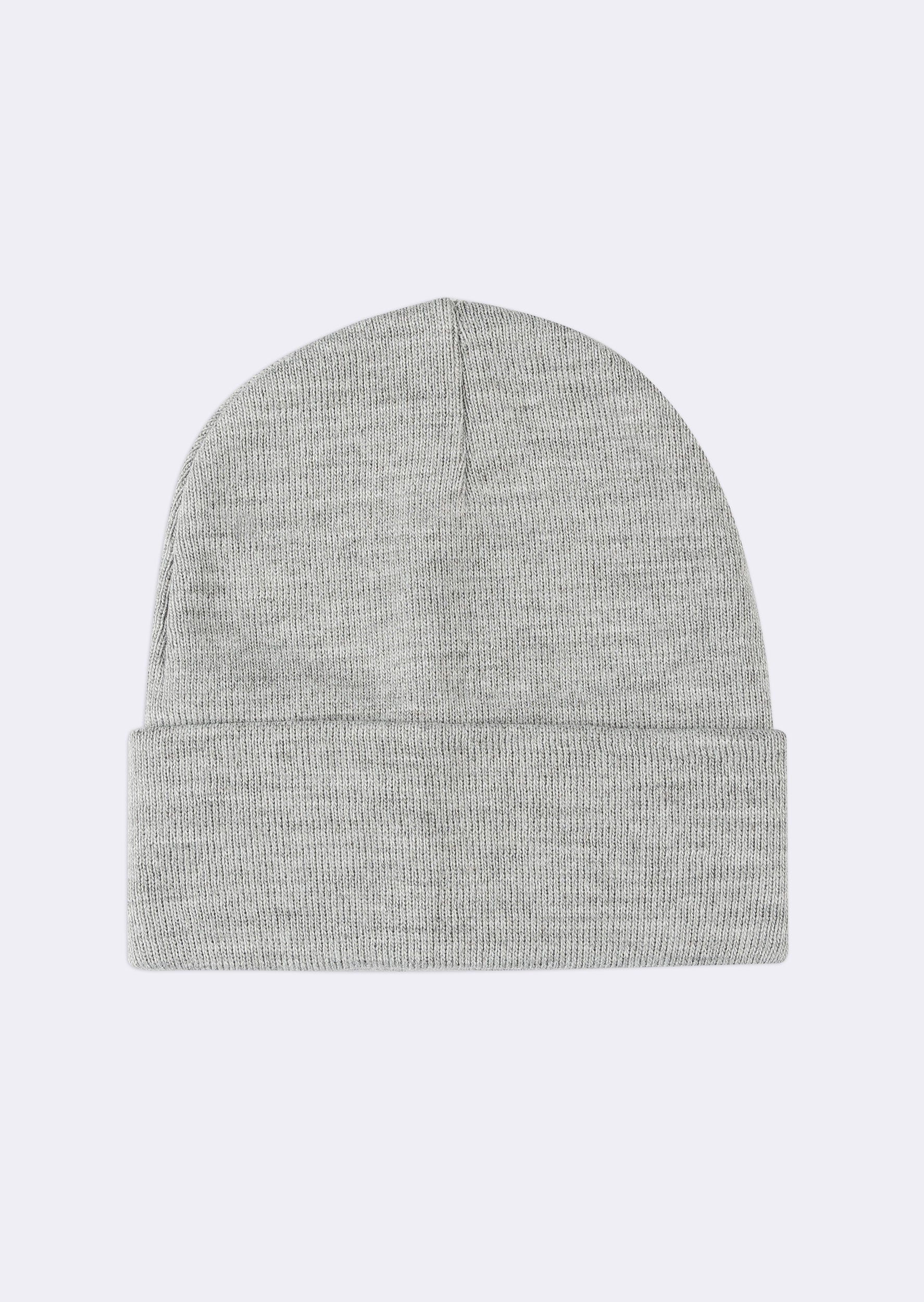 Light Grey Beanie