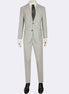 Grey Suit