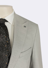 Grey Suit