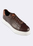 Brown Trainers
