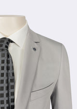 Grey Suit