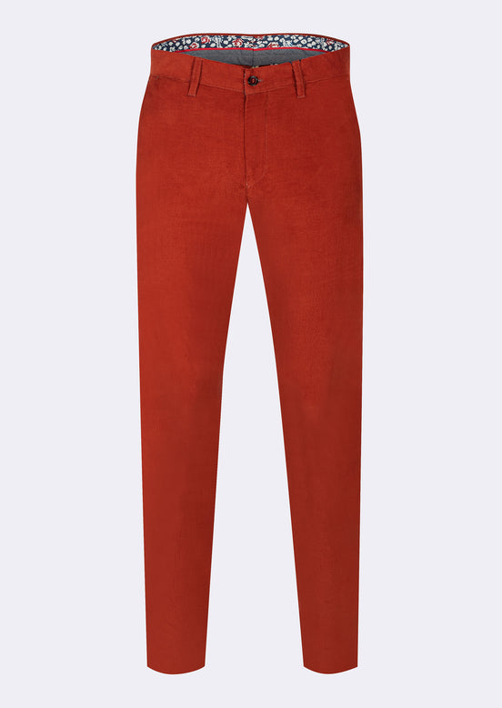 Orange Chino & Casual Pant