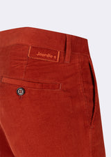 Orange Chino & Casual Pant