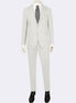 Light Grey Suit