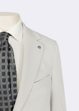 Light Grey Suit