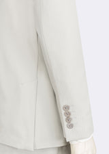 Light Grey Suit