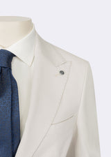 Light Grey Suit
