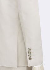 Light Grey Suit