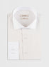 Beige Long Sleeve Shirt