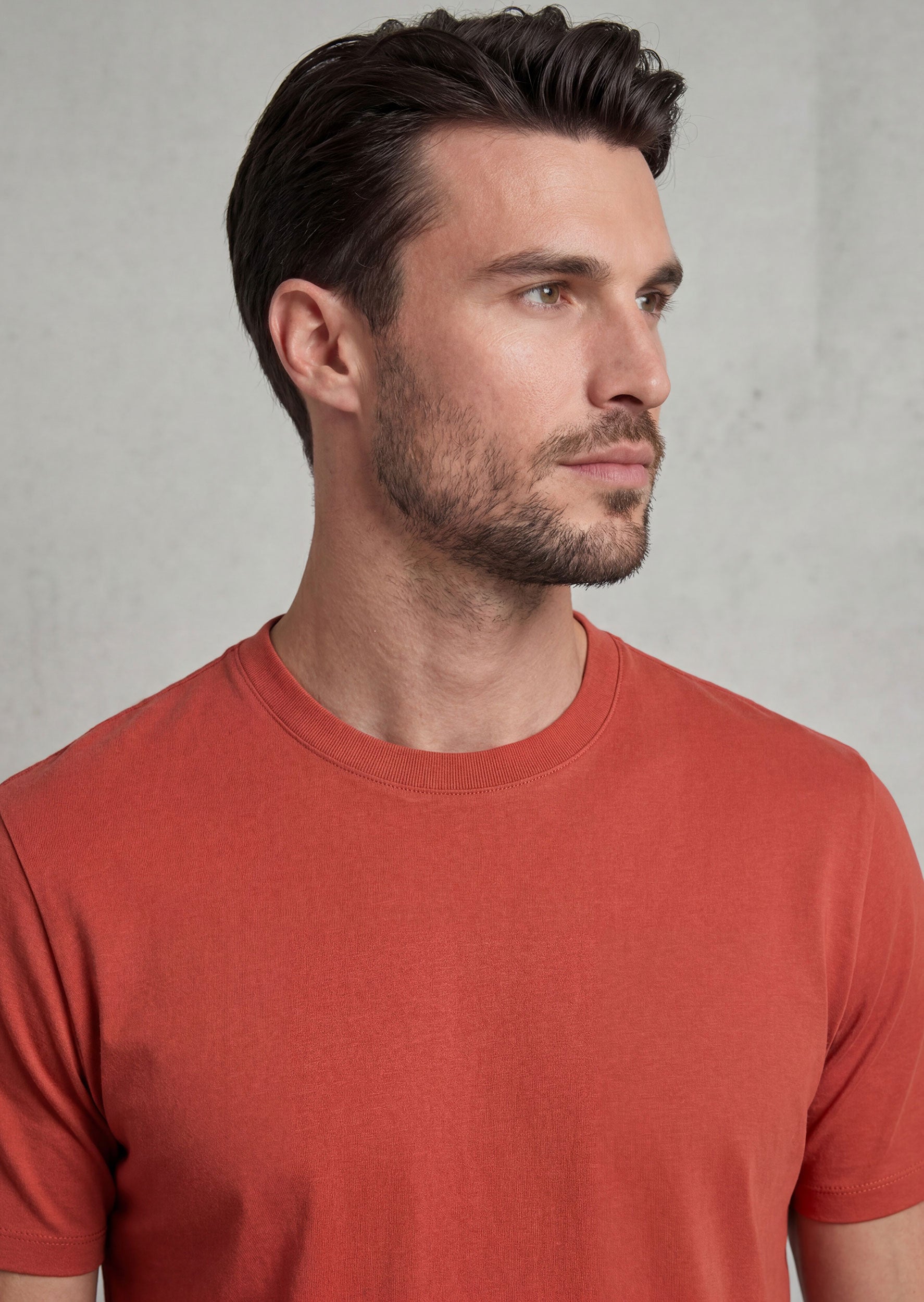 Brick Crew Neck T-shirt